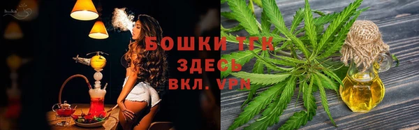 молекула духа Балахна