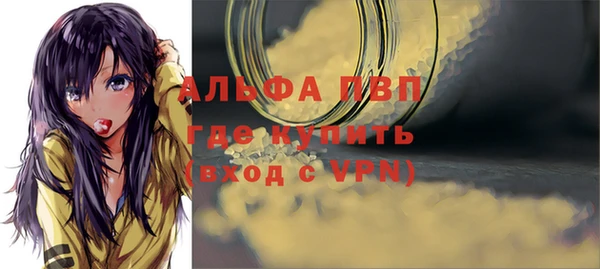 молекула духа Балахна