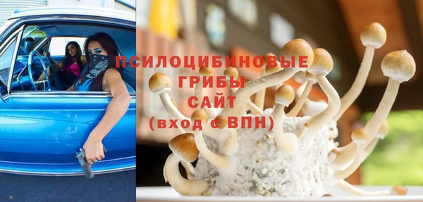 гидропоника Баксан